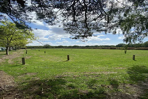 Pine Cones Caravan and Camping in KingsLynn
